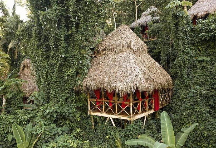 استراحتگاه Dominican Tree House Village