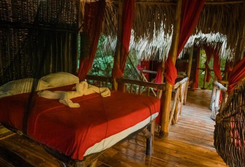 استراحتگاه Dominican Tree House Village