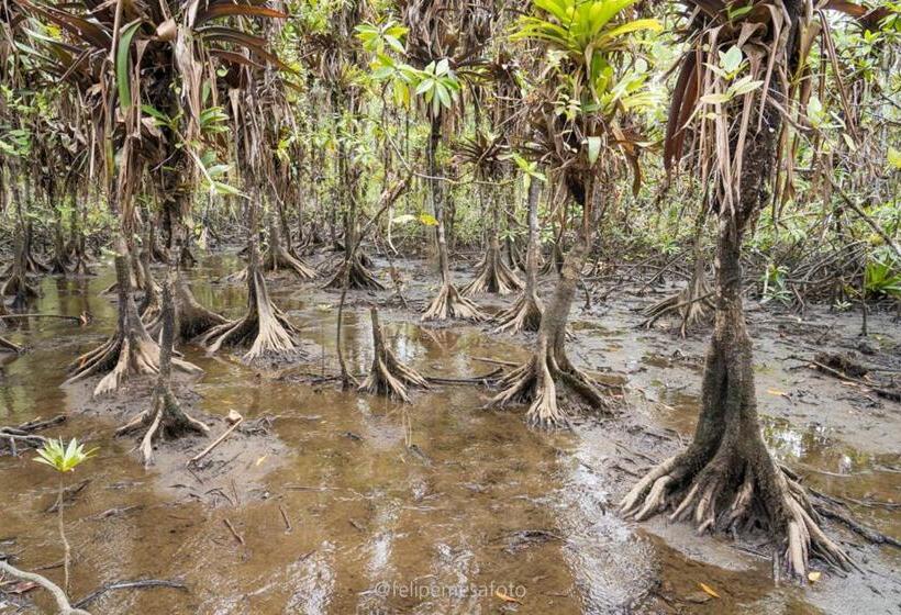 هتل Safio. Una Casa En El Paraiso