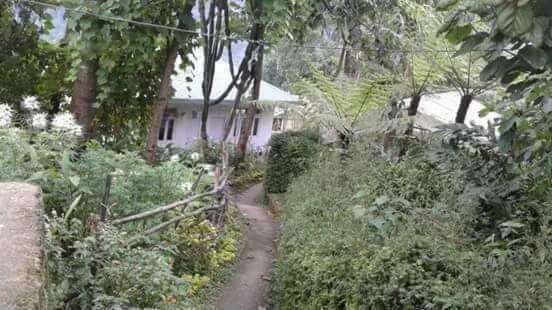 فندق Vamoose Yakchiri