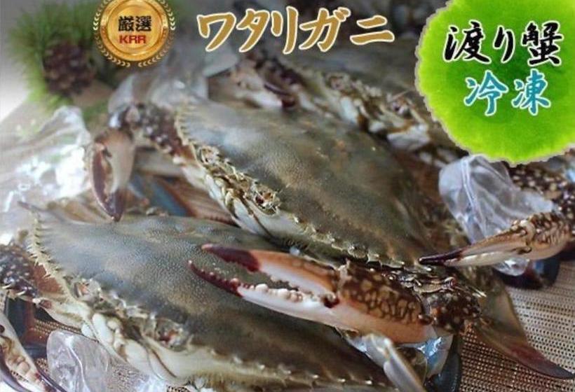 Pensão オーベルジュ美の浜 流石