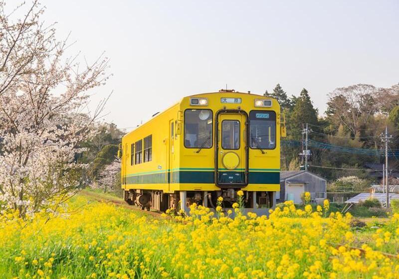 酒店 Green Hill Otaki