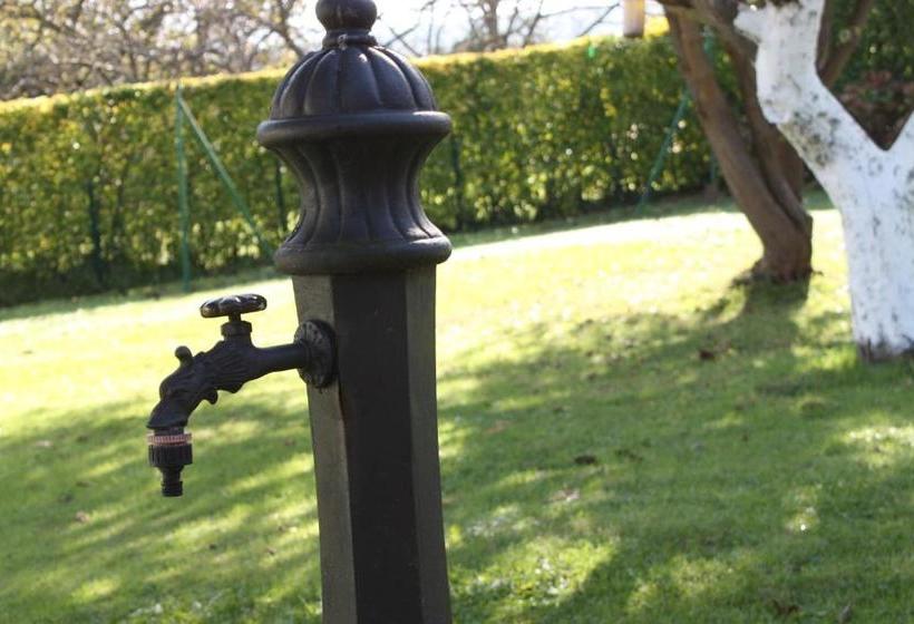 ユースホステル Alojamiento Rural San Pedro