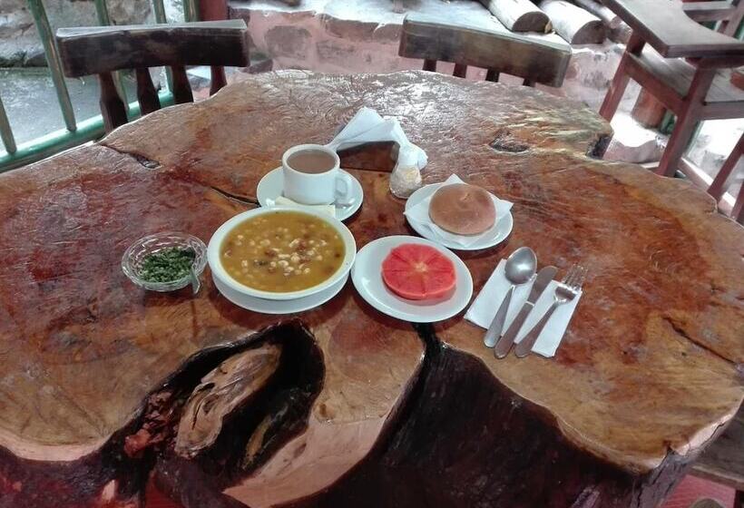ユースホステル Posada 4 Esquinas