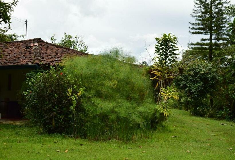 مبيت وإفطار Casa El Cedro
