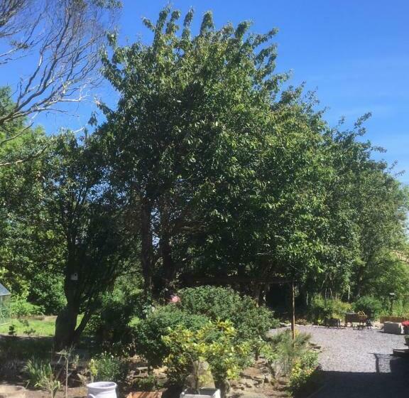 Frongaer Bed And Breakfast