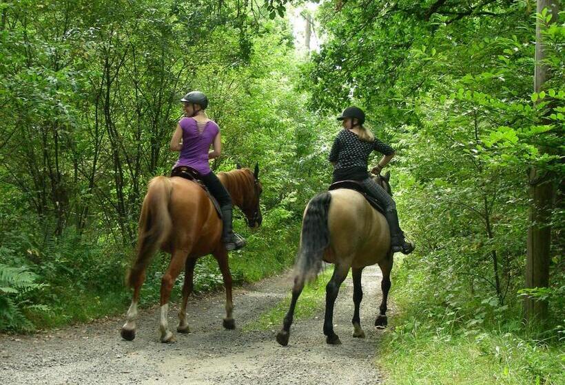 ホテル Blick Zum Maimont