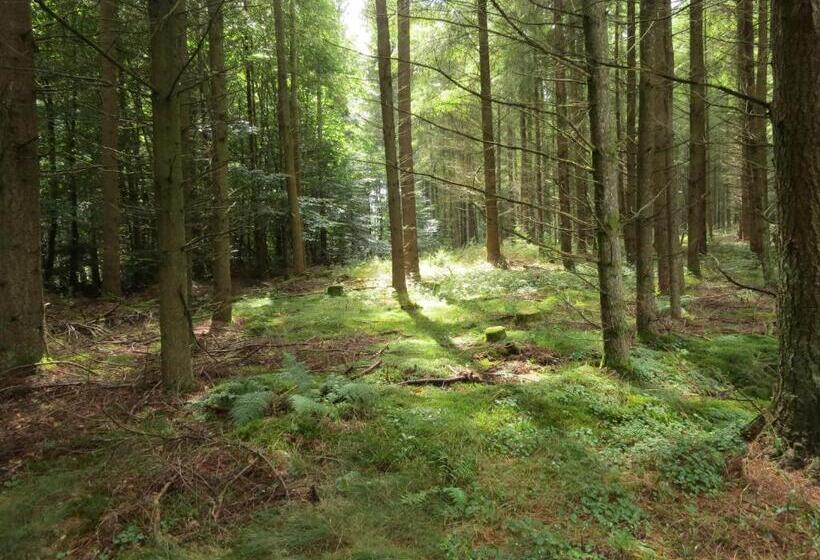 ホテル Blick Zum Maimont