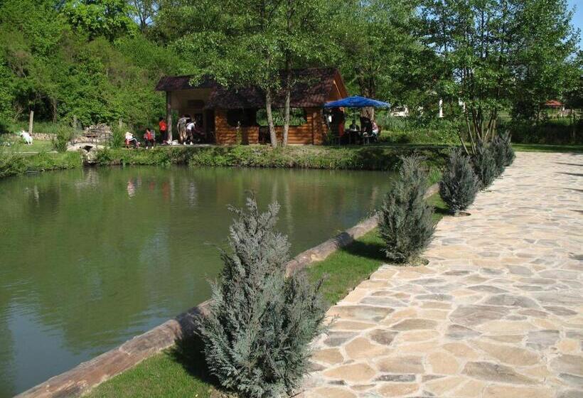 בית מלון כפרי Karpatska Forel