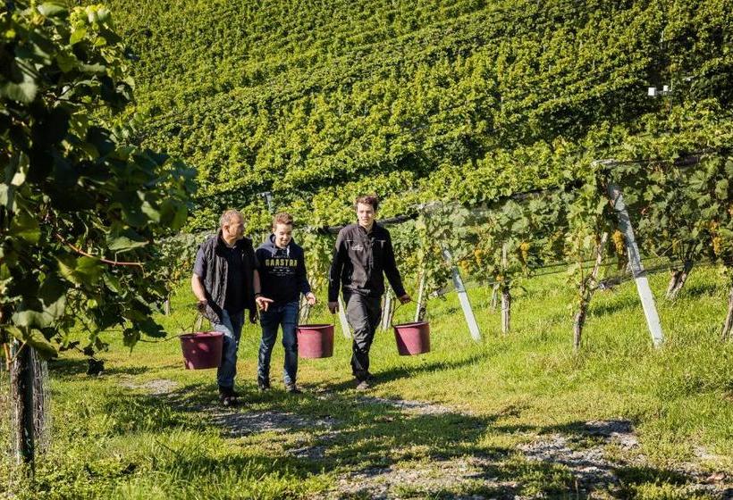 ホテル Weingut Tschermonegg