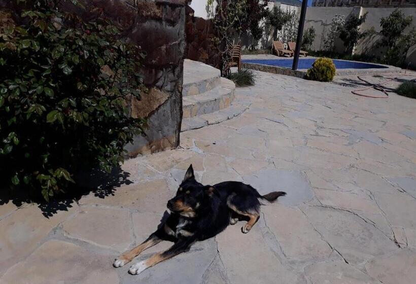 بنسيون Baku Black Mountain Guest House