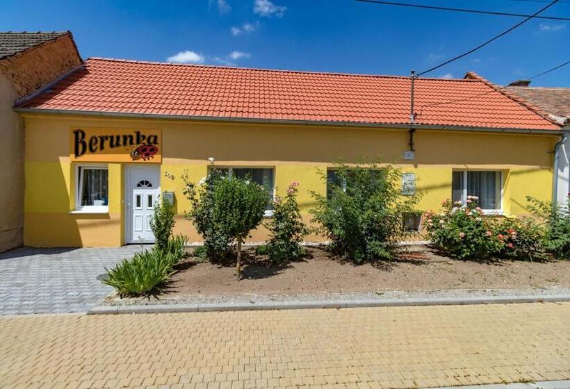 פנסיון Berunka