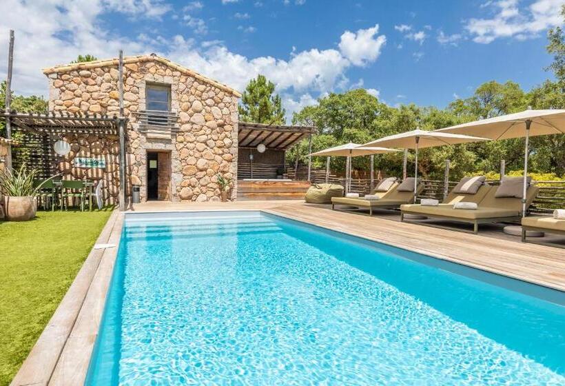 پانسیون Domaine De Casanghjulina