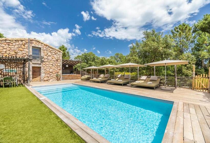 پانسیون Domaine De Casanghjulina