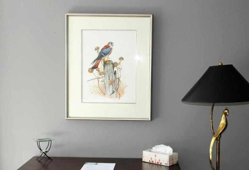 Tailwinds B&b