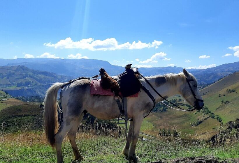 فندق صغير Hostal Cloud Forest