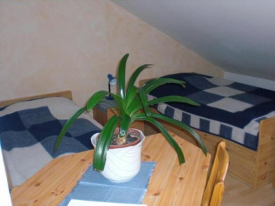 ホテル Bergkristall