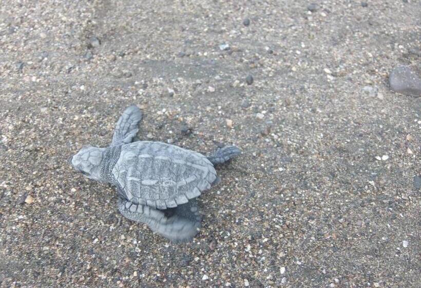 هتل Cabañas Refugio Salomon