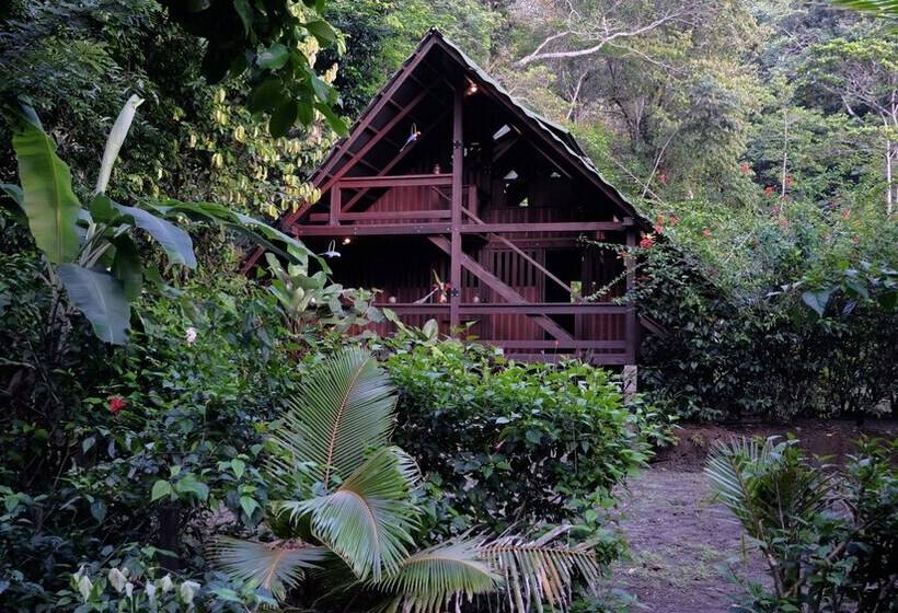 La Kuka Hotel   Nuquí