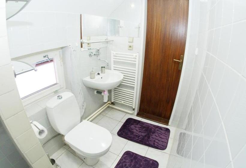 Пансион Penzion V Horách