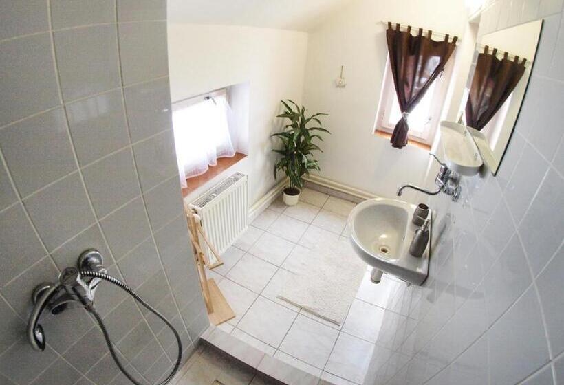 Пансион Penzion V Horách