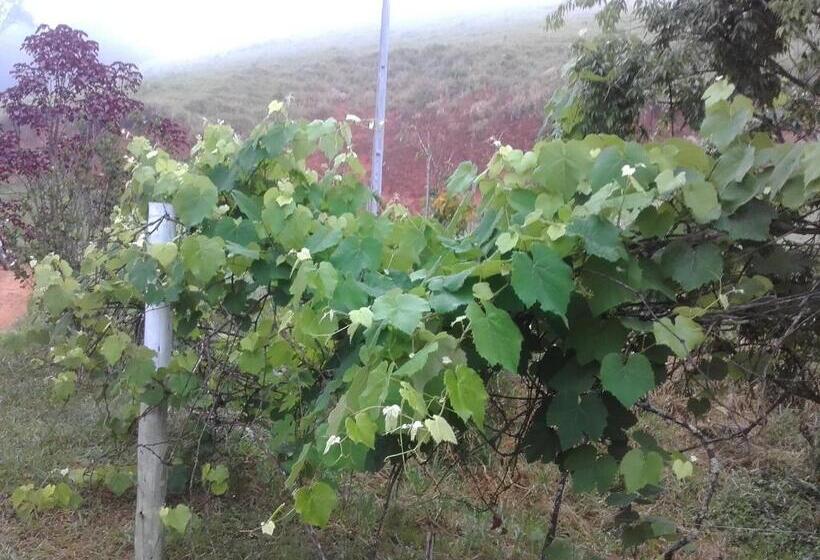 פנסיון Sitio Pinhal