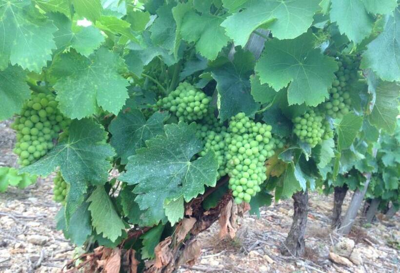 ベッドアンドブレックファースト Au Paradis Cathare