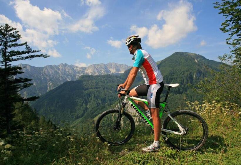 Gasthaus Pension Sandner Linde