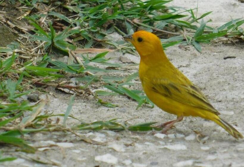 ペンション Casa Campo Alojamiento Campestre Para Descanso En Calarcá Quindío