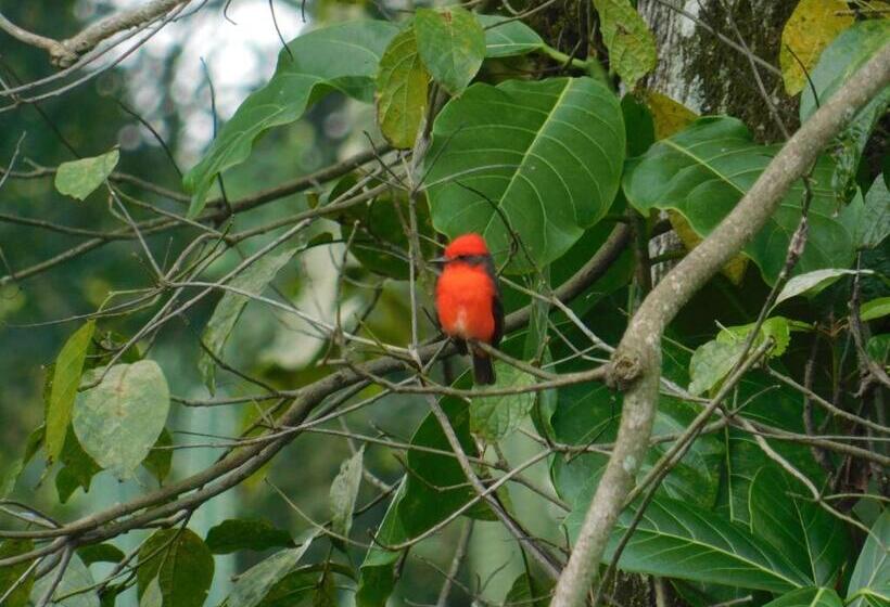 ペンション Casa Campo Alojamiento Campestre Para Descanso En Calarcá Quindío