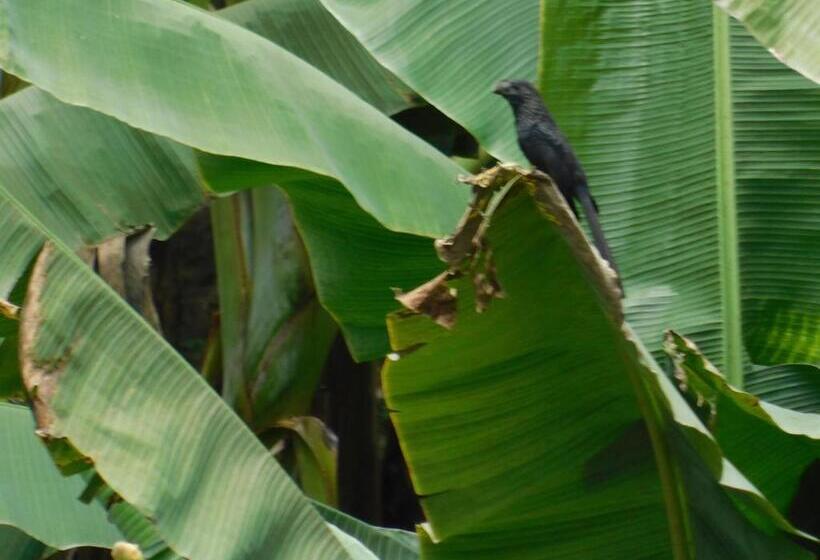 ペンション Casa Campo Alojamiento Campestre Para Descanso En Calarcá Quindío