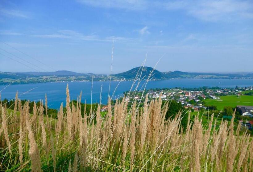 بنسيون Florineum