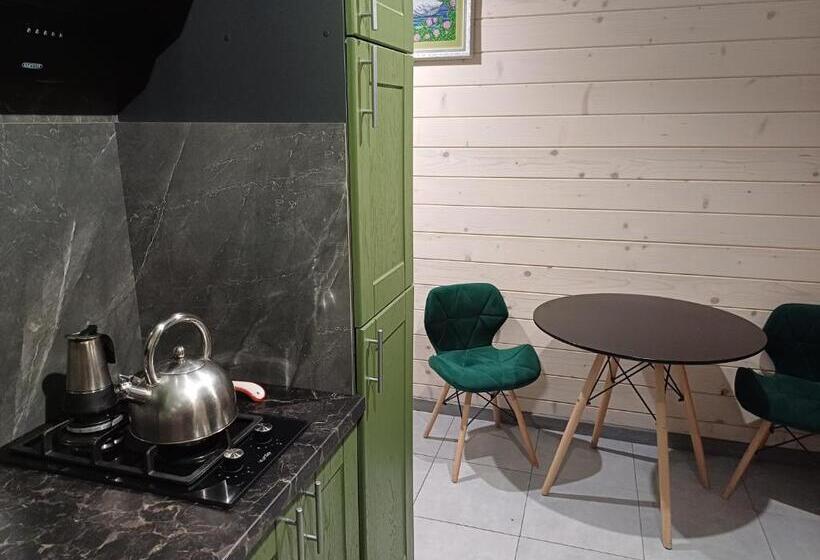 膳宿费 Green House Panorama Karpat