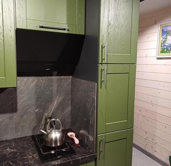 膳宿费 Green House Panorama Karpat