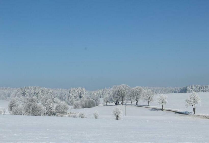 بنسيون Penzion Fořtovna