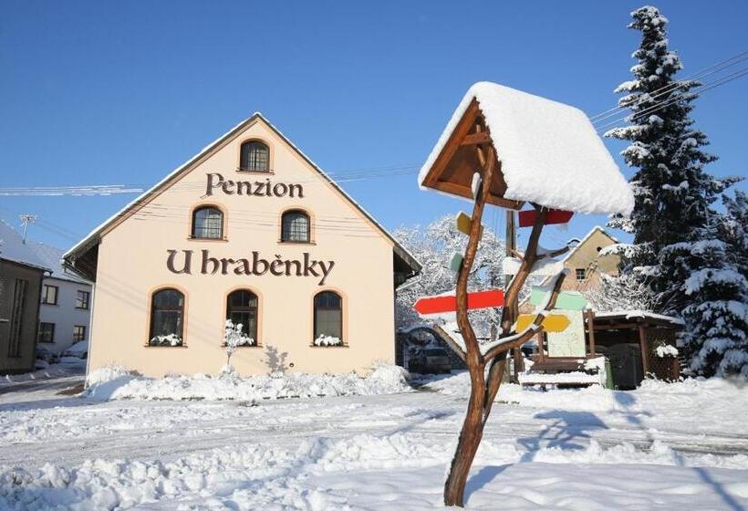 펜션 Penzion U Hraběnky