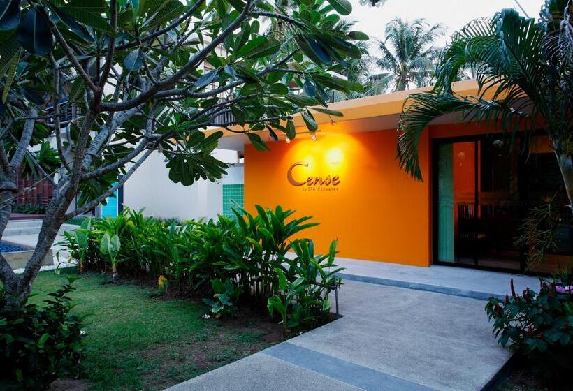 Coconut Beach Resort Samui