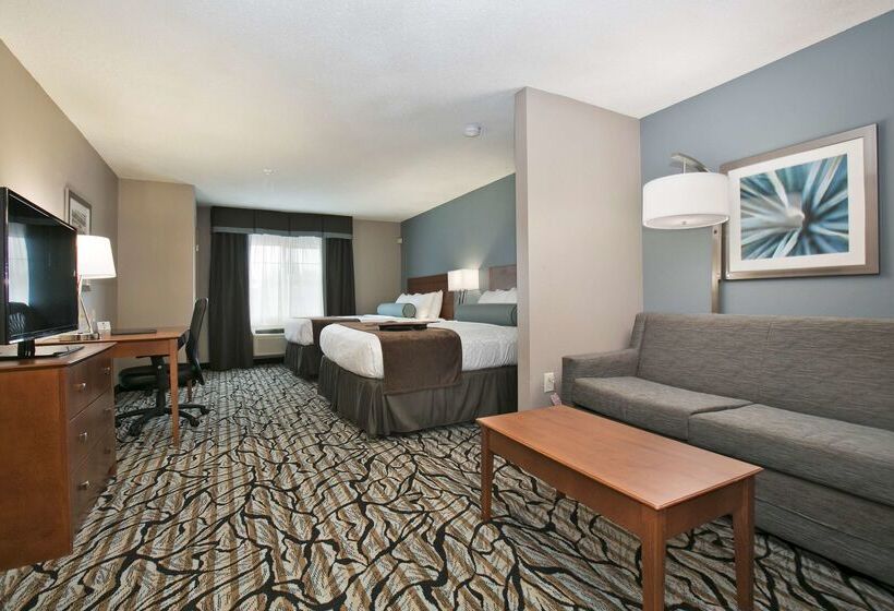 בית מלון כפרי Best Western Plus Blaine At The National Sports Center