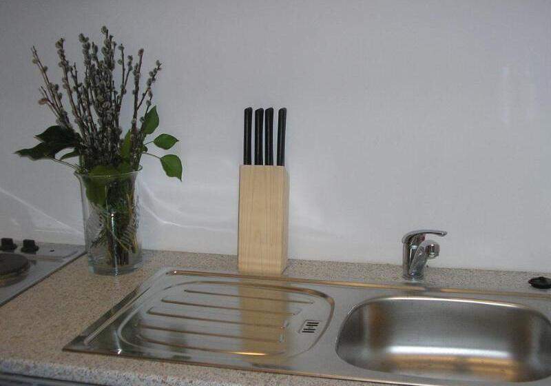 فندق Celic Art Apartments