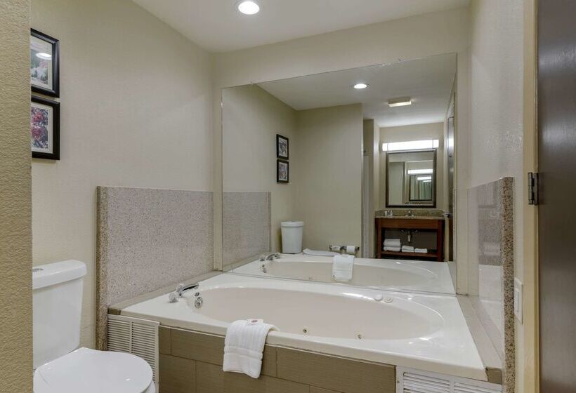 هتل Comfort Suites Columbus State University Area