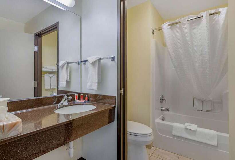 هتل Econo Lodge Inn & Suites Fairgrounds