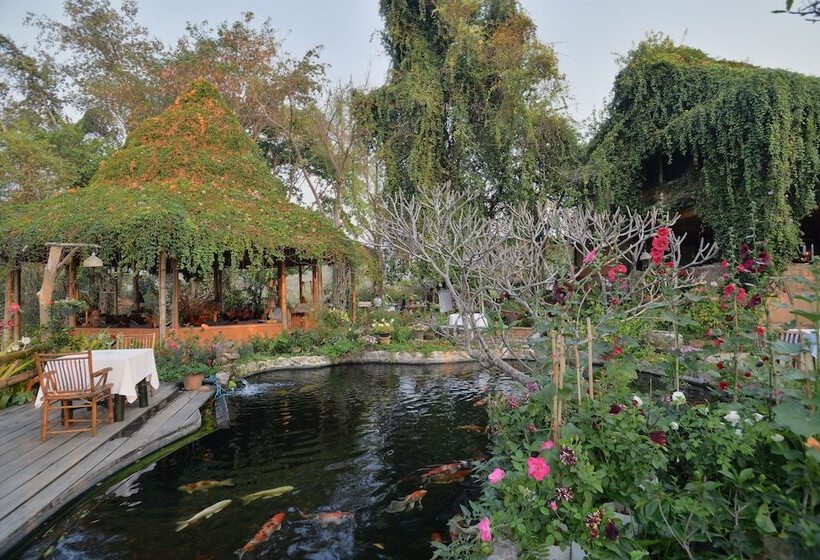 هتل Phu Chaisai Chiang Rai Mountain Resort