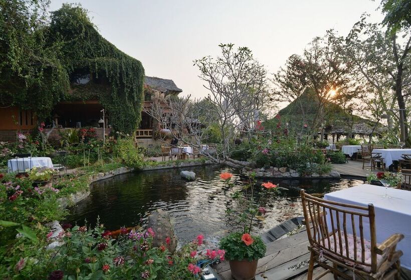 هتل Phu Chaisai Chiang Rai Mountain Resort