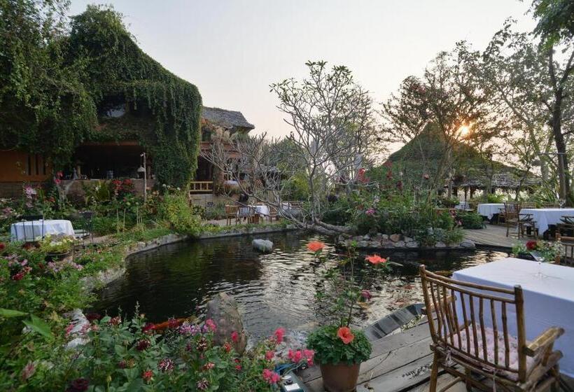 هتل Phu Chaisai Chiang Rai Mountain Resort
