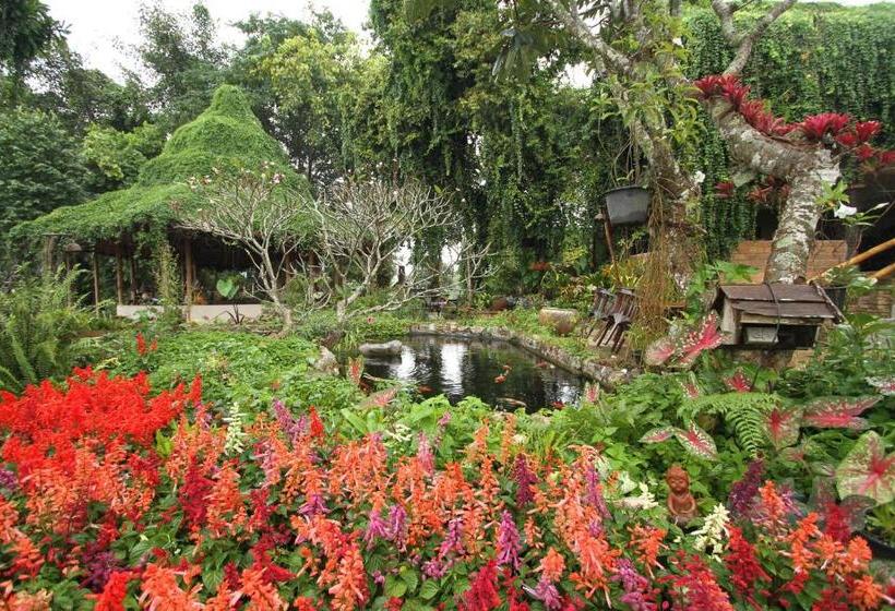 هتل Phu Chaisai Chiang Rai Mountain Resort