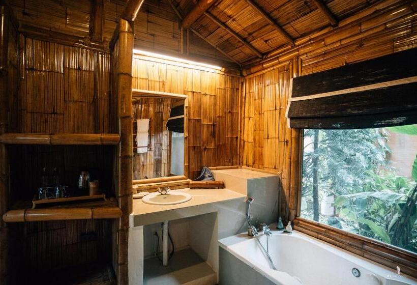 هتل Phu Chaisai Chiang Rai Mountain Resort