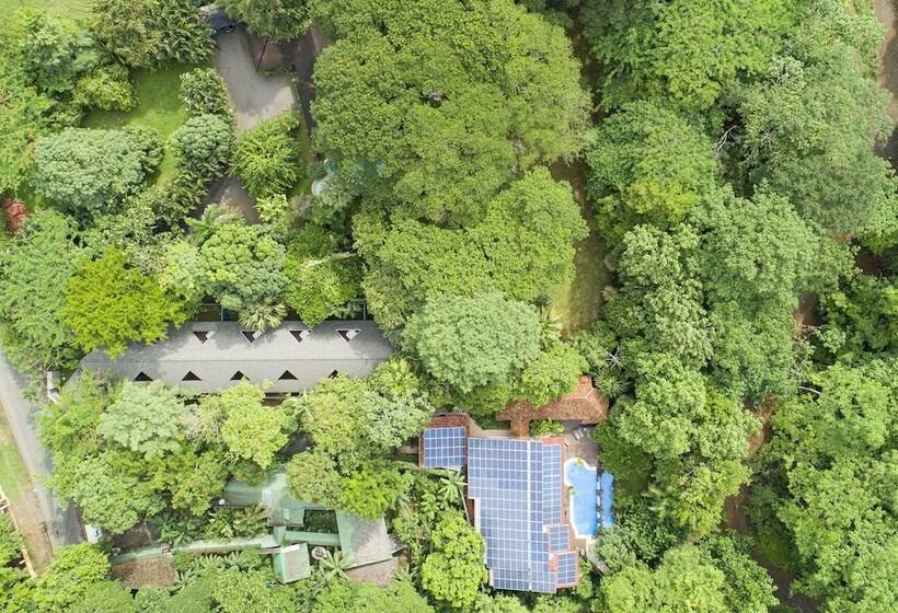 هتل Pumilio Mountain & Ocean