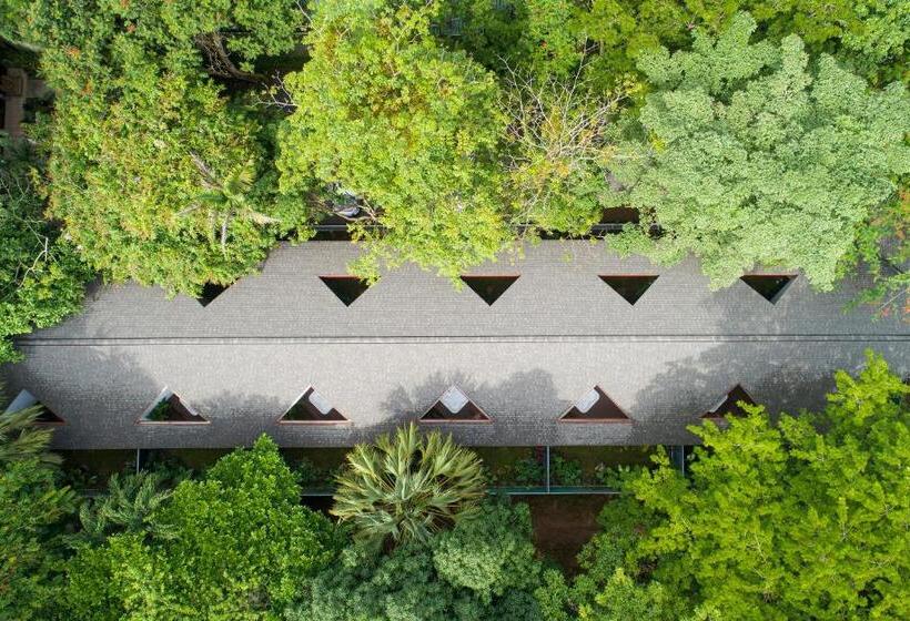 هتل Pumilio Mountain & Ocean