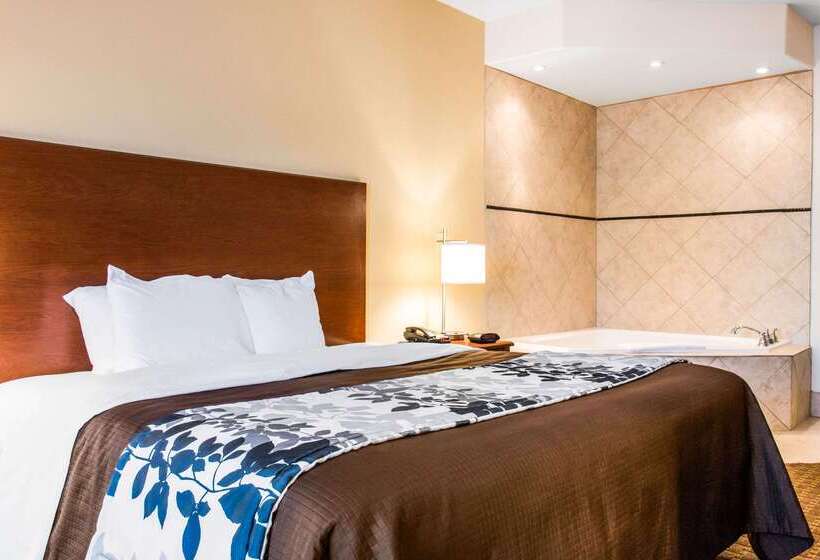 فندق Sleep Inn & Suites