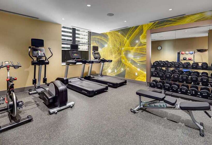 בית מלון כפרי Hilton Garden Inn Chicago Central Loop